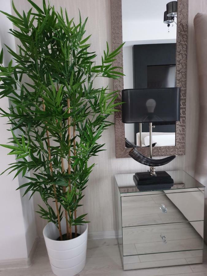 Studio Rendez-Vous Baneasa Bukarest Exteriör bild